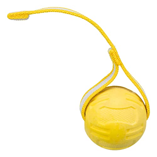 Trixie Balle Sporting Avec Sangle Ø 6 Cm / 20 Cm - Bleu - Pour Chien - 86 G