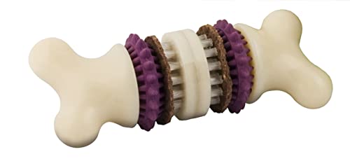 Petsafe Busy Buddy Bristle Bone - Giocattolo Masticabile Per Cani, Masticabile, Osso Giocattolo Con Anelli Per Dolcetti, Lavabile In Lavastoviglie - P