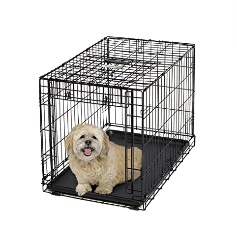 Midwest Homes For Pets Gabbia Metallica Ovation Pieghevole Per Cani Taglia Media, Porta Singola, Lunga 76,2 Cm, Pannello Divisorio, Piedini Protettivi