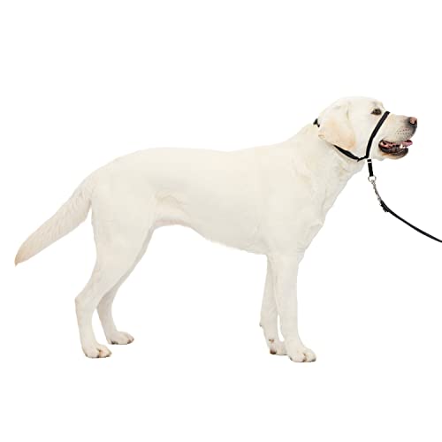 Petsafe - Collare A Cavezza Easy Walk Per Cani Di Taglia Grande (L), Comoda, Anti-Trazione, Con Guinzaglio In Nylon (Incluso) - Nero