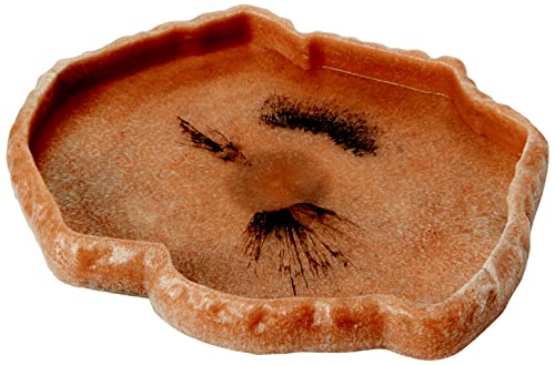 Zoomed T6016140 Repti Rock Mangiatoia
