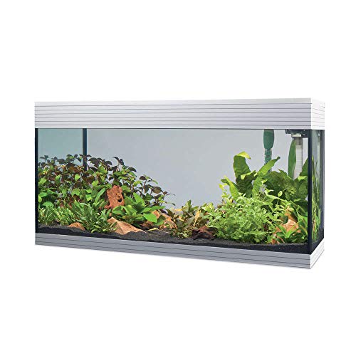 Askoll Aa350052 Pure Aquarium Kit Led, Xl, Bianco
