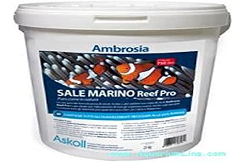 Askoll 280317 Pro Salt, L