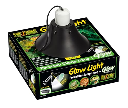 Askoll 281582 Portalampada Con Riflettore In Porcellana Glow Light Large 25 C, L