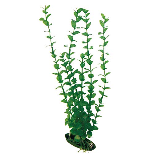 Amtra Wave Plant Classic Rotala Lg