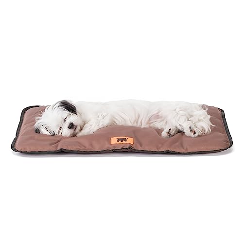 Ferplast - Tappetino Per Cani E Gatti - Cuccia Per Cani Lavabile Piccola - Materassino Per Cani - Impermeabile E Antigraffio - Tappetino Per Auto, Cuc