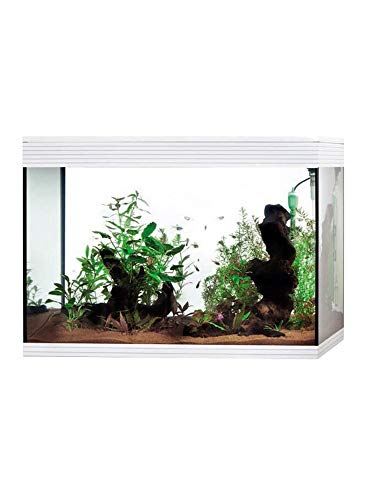 Askoll Aa350073 Acquario Pure Led Xl, Bianco