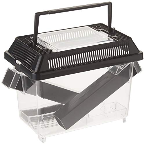 Exo Terra Pt2285 Cricket Box Con 2 Tubi + 1 Spugna