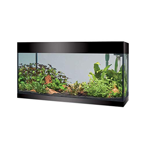 Askoll Aa350053 Acquario Pure Led, Xl, Nero
