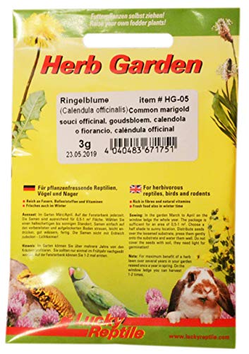 Lucky Reptile Herb Garden Semi Miscela