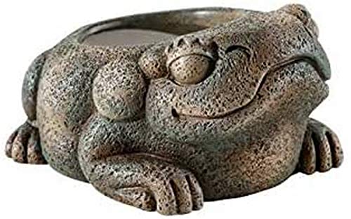 Askoll Aztec Frog Water Dish. Dispenser Per Acqua - Taglia Unica