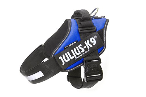 Julius-K9 16Idc-B-3 Pettorina Idc, Blu, Taglia 3