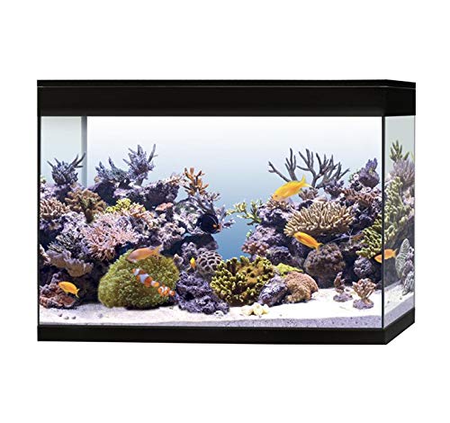 Askoll Aa350078 Acquario Pure Marine High Cube Marino Completo Accessoriato, Xxl, Nero
