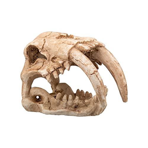 Aqpet Decorart Decori In Resina Per Acquari Modello Fossil Skull 15X9.5X11