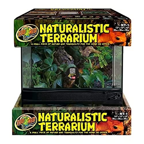 Zoomed T2016101 Naturalistic Terrarium