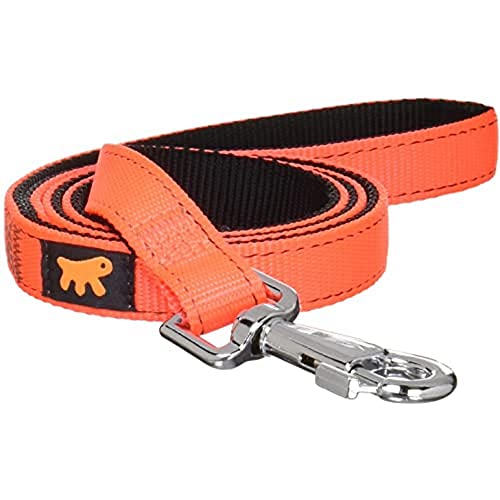 Ferplast Guinzaglio Cane Cani Nylon Doppia Fettuccia Colori Dual G Colours