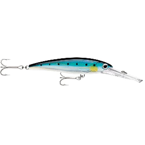 Rapala X Rap Magnum 20 Bsrd