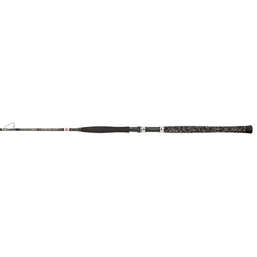 Penn Legion Cat Silver Vertical Catfish - Canna Da Pesca