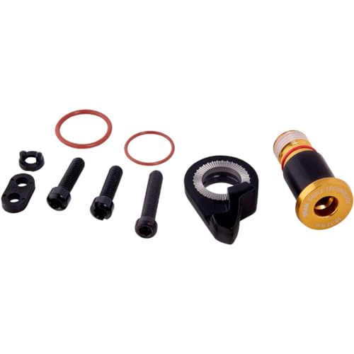 Sram Spare Rear Derailleur B-Bolt And Limit Screw Kit Xx1 Eagle Gold Hex5, Root > Home Catalogue Blanc Bricolage Unisex Adulto, Oro, Taglia Unica