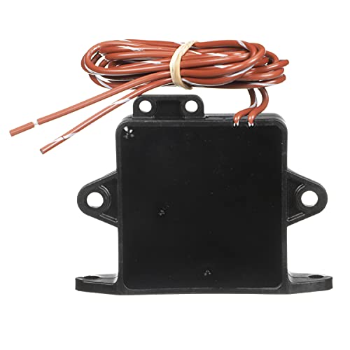 Whale Nuevo 2024 Field Switch Retail