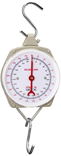 Berger + Schröter 50197 - Bilancia, 200 Kg, Colore: Grigio