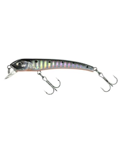 Molix Audace 65 Suspending Col. Silver Melon
