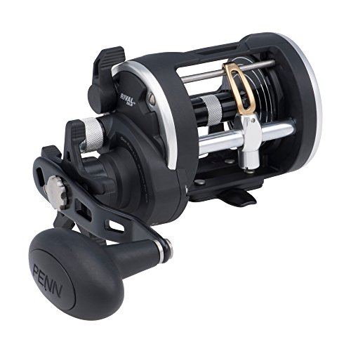 Penn Riv15Lwlclh Rival 15 Lw Lc Lh Reel Box