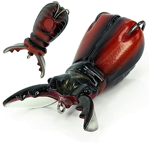 Molix Supernato Beetle Baby Col. Stag Beetle, Taglia Unica
