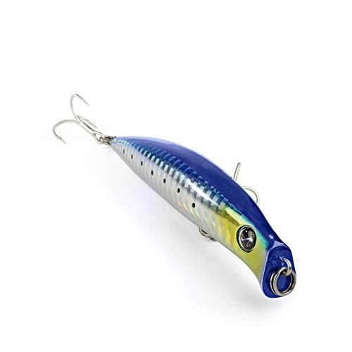 Seaspin Coixedda 100 Sar - Esca Artificiale Da Pesca