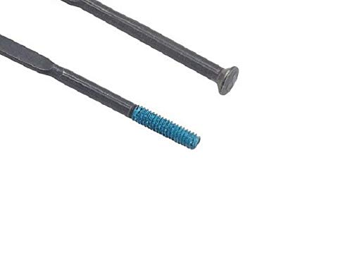 Shimano, Raggio 300Mm Dx, Wh-Rs81-C24-Cl-R Wh-9000-C24