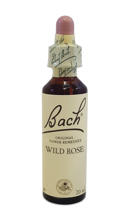 Wild Rose Flower Remedies Bach Center 20ml