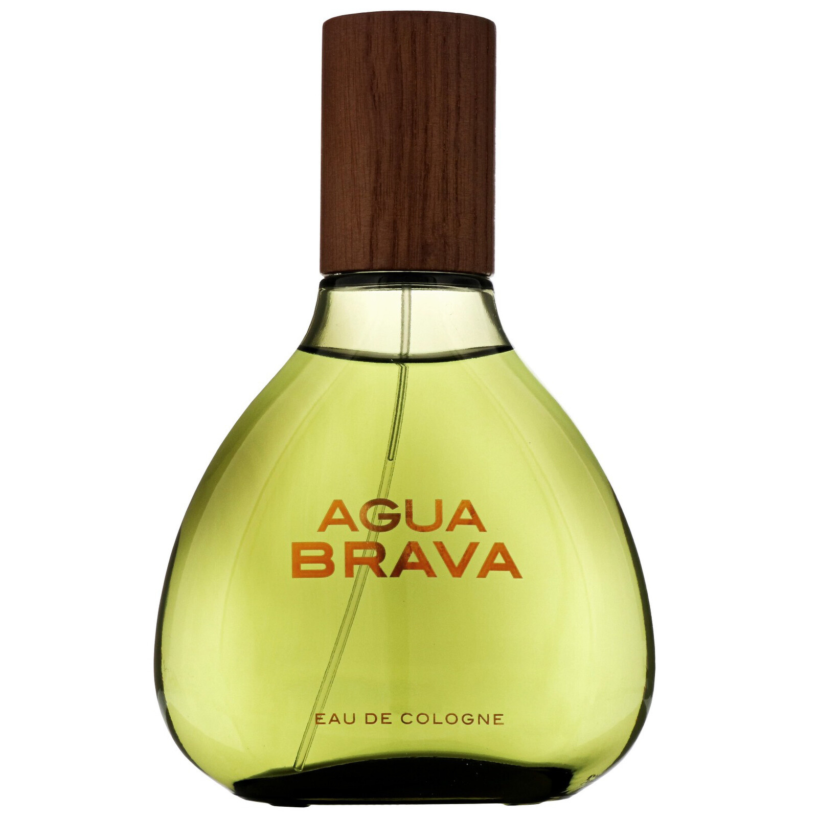 ANTONIO PUIG AGUA BRAVA EDC 100ML
