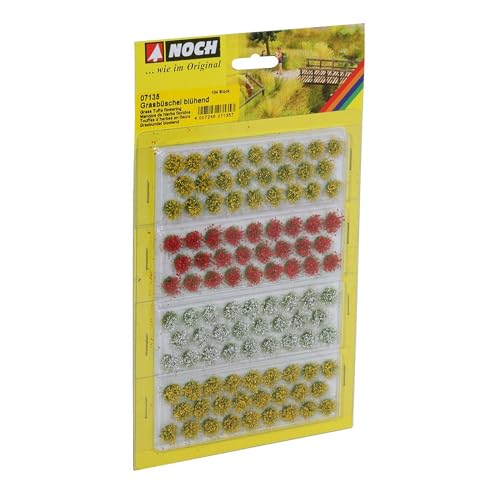 Noch 07135 Erba Ciuffi Fioritura Paesaggio Modellazione