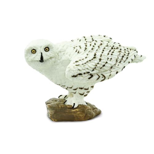 Safari Ltd Snowy Owl, Colore Bianco, Small, 264729