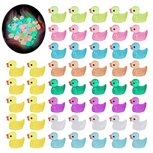 Yejahy 50 Mini Anatre Luminose In Resina, Colorate Piccole Anatre In Miniatura Per Giardino, Paesaggio, Casa Delle Bambole Ornamento Fai Da Te, Decora
