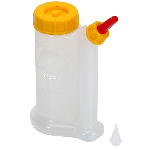 Dispenser Di Colla Per Legno, 4 Oz Btl, Senza Gocciolamento