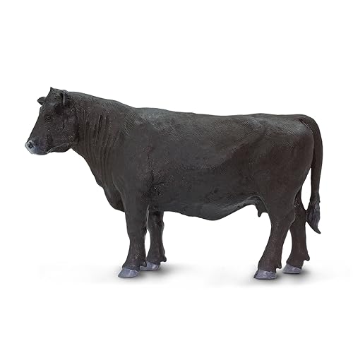 Safari Ltd- Angus Cow, Multicolore, Small, 160829