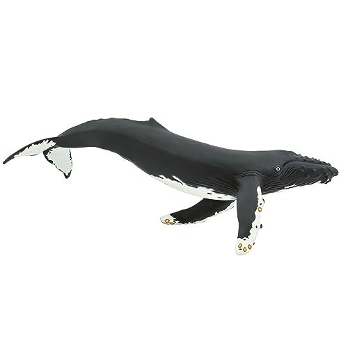 Safari Ltd Humpback Whale