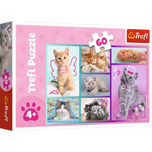 Trefl Colorati Con Animali, Gatti, Collage, Intrattenimento Creativo, Divertimento Per Bambini Dai 4 Anni In Su Puzzle, Colore Gattini Carini, 17373