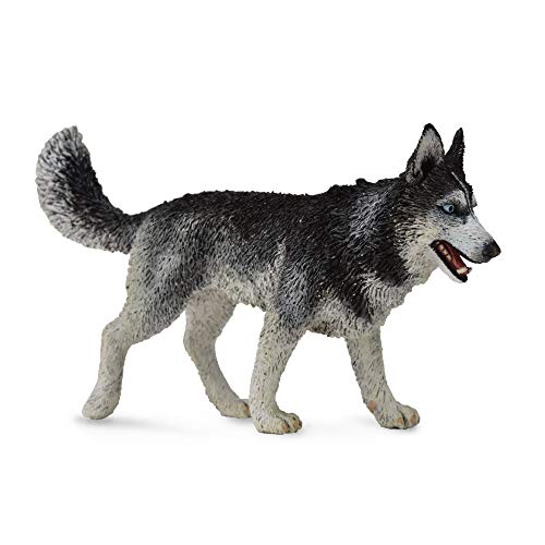 Collecta - Col88707 - Siberian Husky - Taglia L