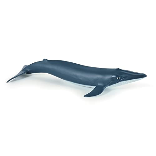 Papo -Dipinta A Mano- Figurina-Mondo Marino-Cucciolo Di Balena Blu-56041-Collezione -Adatto A Bambini E Bambine - A Partire Dai 3 Anni Di Età
