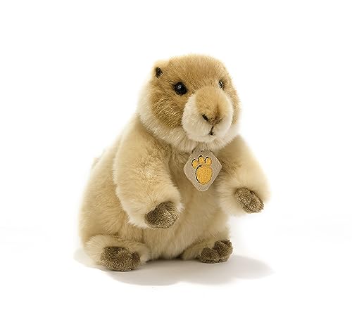 Plush & Company- Plush, 15972