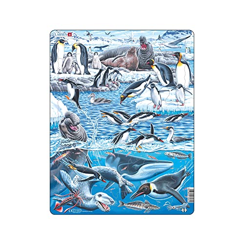 Larsen Fh48 Il Freddo E Bellissimo Antartide, Puzzle Incorniciato Con 66 Pezzi