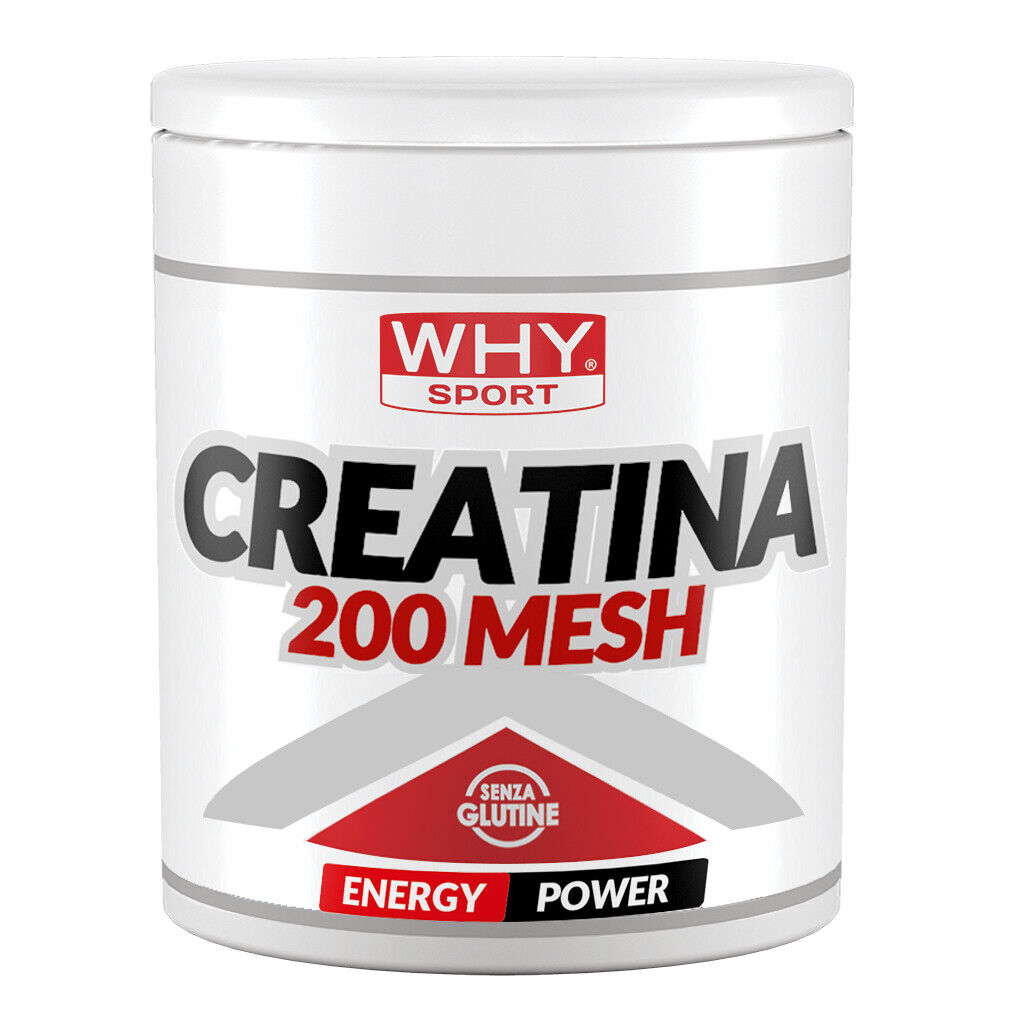 WHY SPORT CREATINA 200 MESH 200 GR