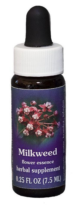 Milkweed Essenza Singola Californiana Flower Essence Society 7,4ml