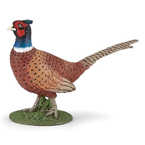 Papo - Figurina Animale - Faisan, Beauté De La Vie Sauvage, Figurina Multicolore Pour Enfants Dès 3 Ans - Birdwatching E Consapevolezza Della Natura