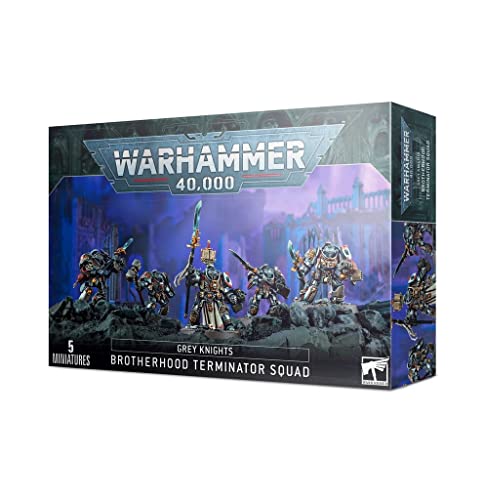 Warhammer 40K - Grey Knights Paladins/Terminators Squad