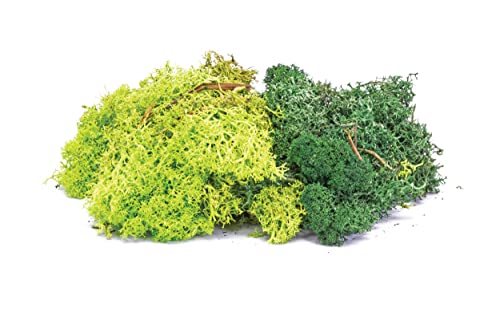 Hornby Materiali Scenici-Licheni-Green Mix Acessories-Power & Controllo, Multicolore, 1 Count (Pack Of 1), R7194
