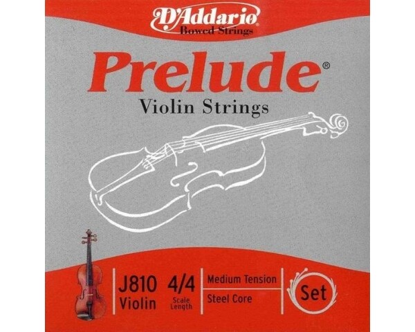 D'ADDARIO J810 SET COILED CORDE VIOLINO