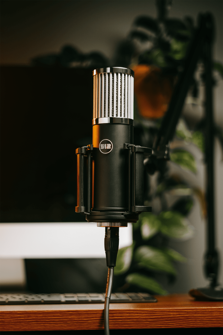 512 SKYLIGHT Large-Diaphragm Studio Condenser XLR Microphone
